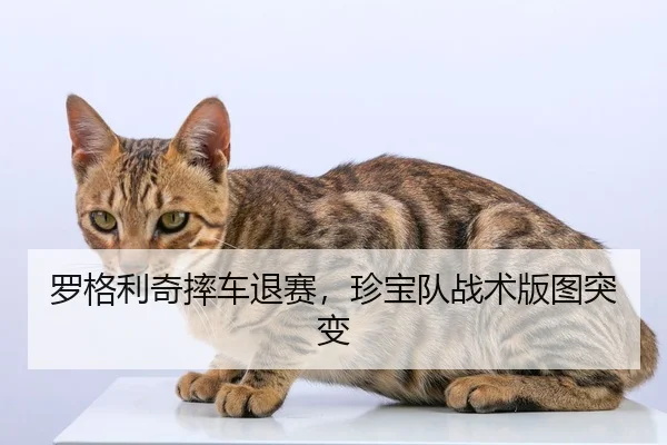 罗格利奇摔车退赛，珍宝队战术版图突变