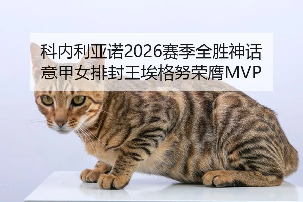 ke-nei-li-ya-nuo-sai-ji-quan-sheng-shen-hua-yi-jia-nv-pai-feng-wang-ai-ge-nu-rong-ying-1-351.jpg