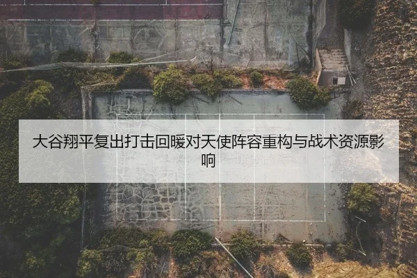 da-gu-xiang-ping-fu-chu-da-ji-hui-nuan-dui-tian-shi-zhen-rong-zhong-gou-yu-zhan-shu-zi-yuan-ying-xiang-2-249.jpg